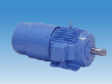  Electric Motor VS-686SS5-PG